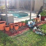 Garden March 2012 02