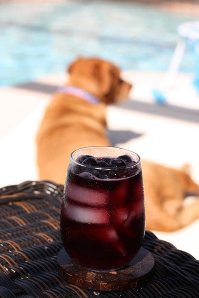 Enjoy this refreshing and easy Red Wine Berry Spritzer based cocktail for anyone looking to cut back on calories. Perfect to sip poolside during the summer!