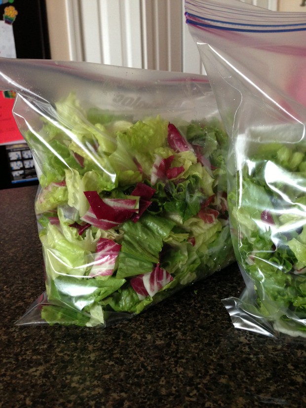 container to keep salad fresh