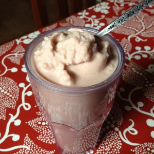 Skinny Malted Frosty | AggiesKitchen.com