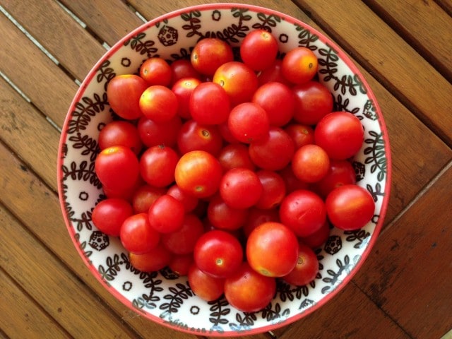 garden cherry tomatoes in a black and white bowl