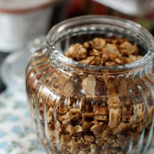 Honey Nut Cocoa Crunch Granola | AggiesKitchen.com