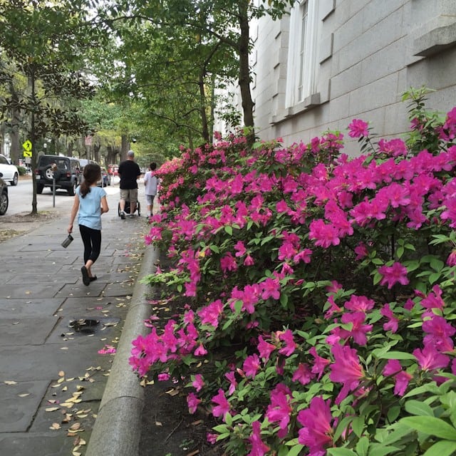 Spring in Savannah, Georgie (with kids!)