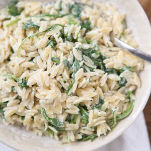 A simple side dish that is full of flavor! Creamy goat cheese and fresh arugula combined with warm orzo, your whole family will love this one.