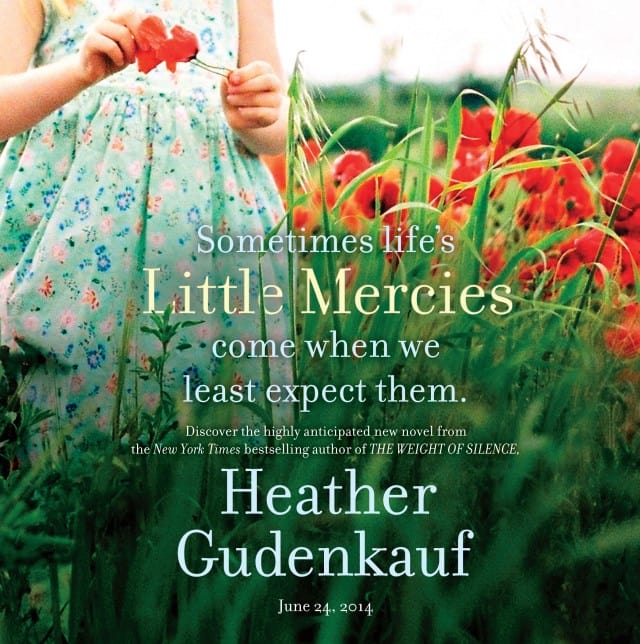 Little Mercies by Heather Gudenkauf