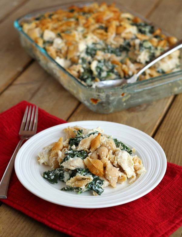 Find inspiration in this collection of delicious healthy recipes using shredded chicken! Healthy Recipes Using Shredded Chicken via aggieskitchen.com