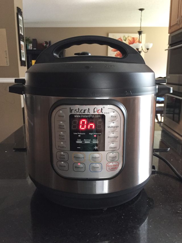 Instant Pot on counter