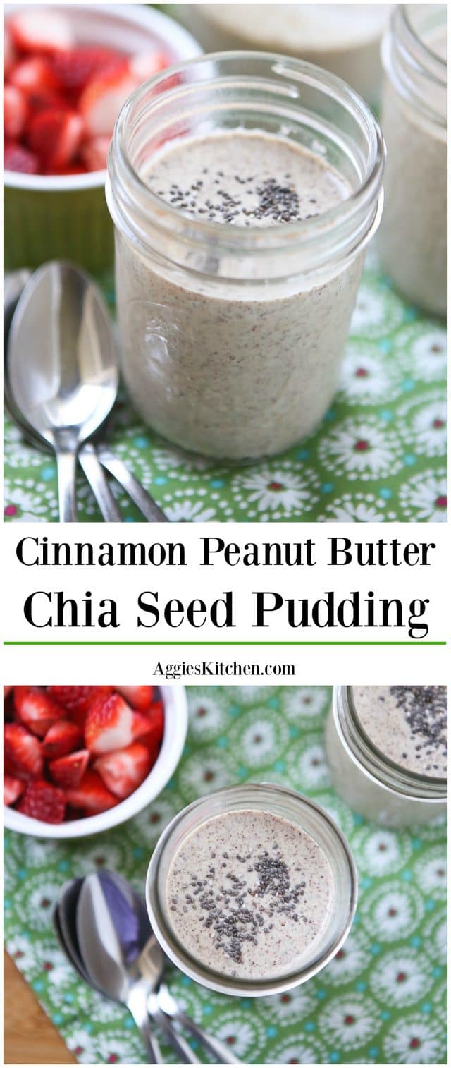 Cinnamon Peanut Butter Chia Seed Pudding makes a wholesome snack or dessert!