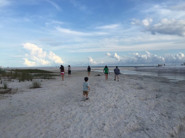 We enjoyed our Family Beach Vacation to 30A Seaside area so much that we are doing it again this summer! Shopping, restaurants and things to do.