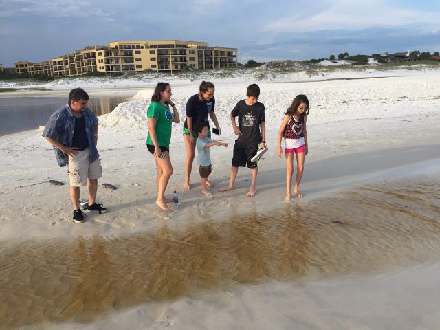 We enjoyed our Family Beach Vacation to 30A Seaside area so much that we are doing it again this summer! Shopping, restaurants and things to do.