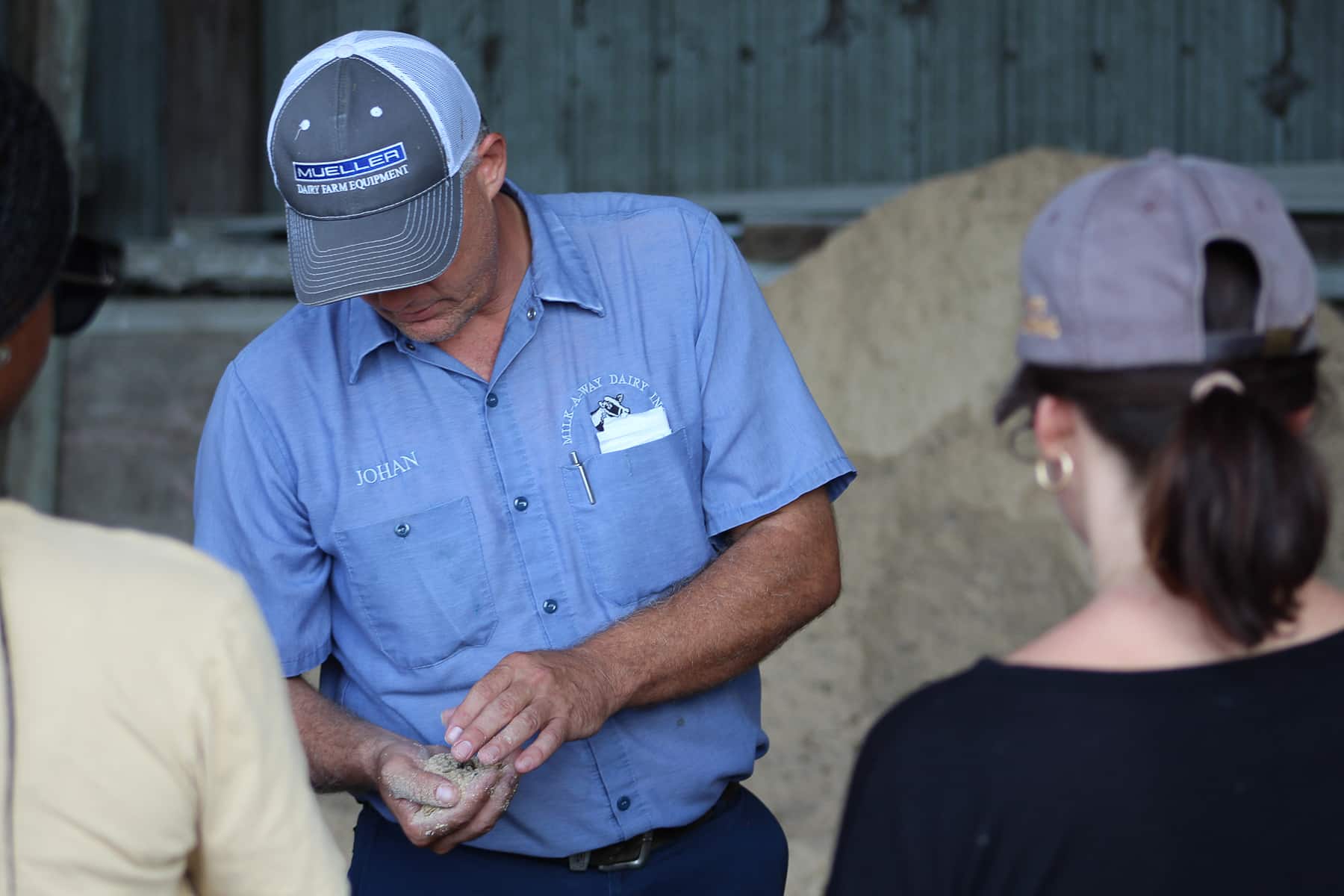 Layered Taco Dip + a tour of MilkAWay Dairy Aggie's Kitchen
